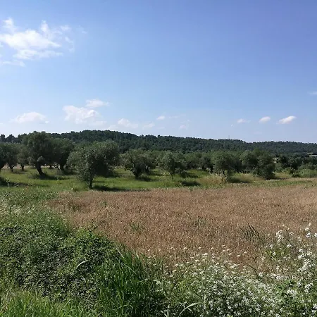 Дом отдыха El Paller De Puig A 4/6 Pax La Pera
